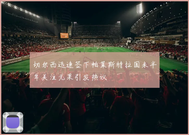 切尔西迅速签下帕莱斯特拉国米半年关注无果引发热议